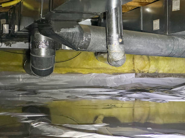 Best Basement water damage restoration  in Westfield, MA