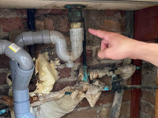 Best Emergency water damage restoration  in Westfield, MA