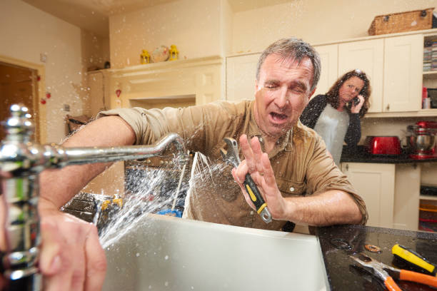 Best Water damage mitigation services  in Westfield, MA